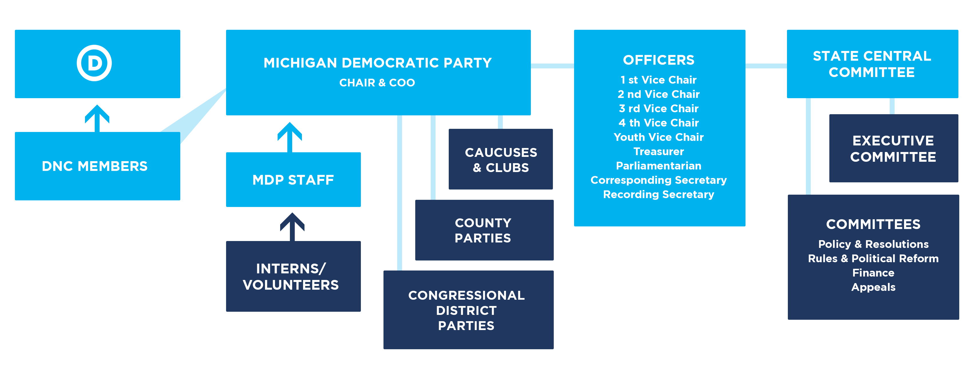 structure-michigan-democratic-party