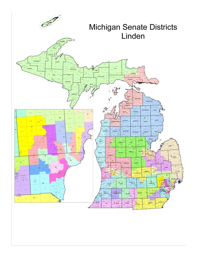 Michigan Redistricting - Michigan Democratic Party
